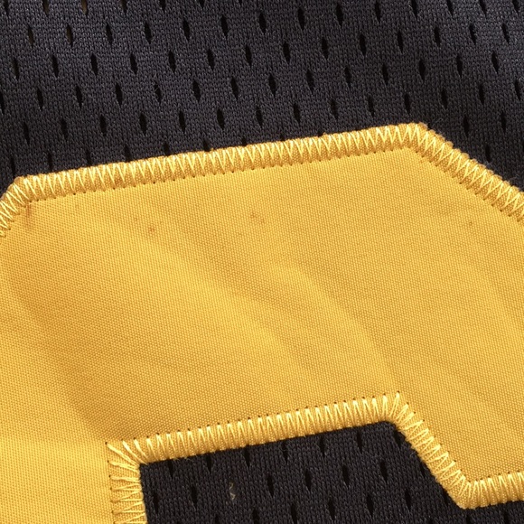 Pittsburgh Steelers Hines Ward Jersey - Picture 8 of 9